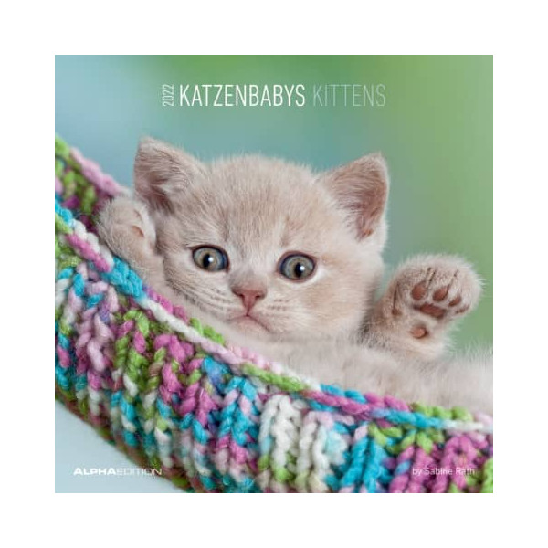 4251732328641 - Bildkalender 102002 Motive Katzenbabys 1Monat 2Seiten