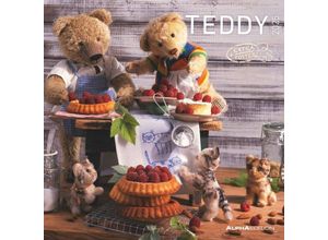 4251732340643 - Teddy 2025 - Broschürenkalender 30x30 cm (30x60 geöffnet) - Kalender mit Platz für Notizen - Bildkalender - Wandkalender - mit herausnehmbarem Poster