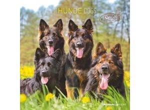 4251732340650 - Hunde 2025 - Broschürenkalender 30x30 cm (30x60 geöffnet) - Kalender mit Platz für Notizen - Dogs - Bildkalender - Wandkalender - Hundekalender