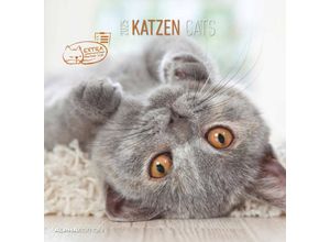 4251732340674 - Katzen 2025 - Broschürenkalender 30x30 cm (30x60 geöffnet) - Kalender mit Platz für Notizen - Cats - Bildkalender - Wandplaner - Katzenkalender