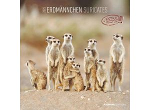 4251732340742 - Edition - Erdmännchen 2025 Broschürenkalender 30x30cm Wandkalender mit Platz für Notizen und Termine Motive von süßen Erdmännchen Monatsüber