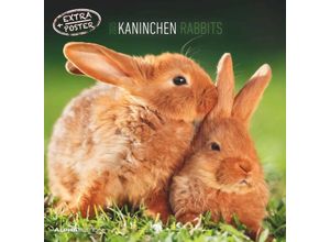 4251732340766 - Kaninchen 2025 - Broschürenkalender 30x30 cm (30x60 geöffnet) - Kalender mit Platz für Notizen - Rabbits - Bildkalender - Wandplaner - Wandkalender