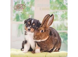 4251732340780 - Tierfreundschaften 2025 - Broschürenkalender 30x30 cm (30x60 geöffnet) - Kalender mit Platz für Notizen - Animal Friendships - Bildkalender - Planer