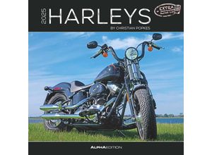 4251732340940 - Harleys 2025 - Broschürenkalender 30x30 cm (30x60 geöffnet) - Kalender mit Platz für Notizen - Motorräder - Bildkalender - Wandplaner - Harley-Davidso