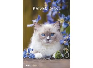 4251732341015 - Alpha Edition - Katzen 2025 Bildkalender 237x34cm Wandkalender mit Platz für Notizen und vielen Infos schöne Katzen-Bilder deutsches Kalendarium