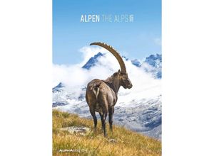 4251732341091 - Alpha Edition - Alpen 2025 Bildkalender 237x34cm Wandkalender mit Platz für Notizen und vielen Infos Bilder aus den Alpen deutsches Kalendarium u