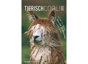 4251732341114 - Edition - Tierisch cool! 2025 Bildkalender 237x34cm Wandkalender mit Platz für Notizen und vielen Infos Bilder aus der Tierwelt deutsches K