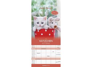 4251732341381 - Alpha Edition - Familienplaner Kätzchen 2025 195x45cm Familienkalender mit 5 Spalten für Termine Mondphasen Ferientermine DE AT CH und deutsches