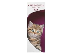 4251732341787 - Alpha Edition - Katzenglück 2025 Streifenkalender 15x42cm Familienkalender mit einer Spalten für Termine 100-jähriger Kalender Pollenflugkalender