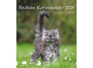 4251732342159 - Alpha Edition - Niedliche Katzenkinder 2025 Bildkalender 30x34cm Kalender mit niedlichen Katzenkinder-Motiven Mondphasen Kalenderwochen Feiertage