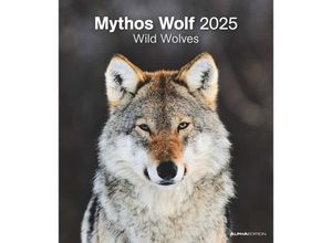 4251732342166 - Edition - Mythos Wolf 2025 Bildkalender 30x34cm Kalender mit vielfältigen Aufnahmen aus der Welt der Wölfe Mondphasen Feiertage DE AT CH un