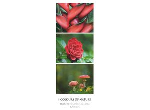 4251732342210 - Alpha Edition - Colours of Nature Triplets 2025 Streifenkalender XXL 25x69cm Kalender mit 3 aufeinander abgestimmten Bildern pro Monat Notizmöglic