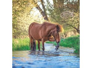 4251732343040 - Alpha Edition - Ponys 2025 Broschürenkalender 30x30cm Wandkalender mit Platz für Notizen und Termine schöne Pony-Motive Monatsübersicht Ferienter