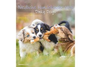 4251732344405 - Alpha Edition - Niedliche Hundekinder 2025 Bildkalender 30x40cm Kalender mit hochwertigen Hundekinder-Motive Mondphasen Kalenderwochen Ferienterm