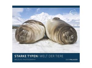 4251734300720 - PALAZZI - Starke Typen 2025 Wandkalender 70x50cm Posterkalender mit brillanten Aufnahmen von WIldtieren wunderbare Porträts und Momentaufnahmen Te