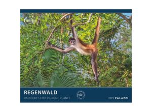 4251734300768 - PALAZZI - Regenwald 2025 Wandkalender 60x50cm Posterkalender mit majestätischen Aufnahmen aus der grünen Wildnis hochwertige Fotografie eine Reise in die Tropen internationales Kalendarium