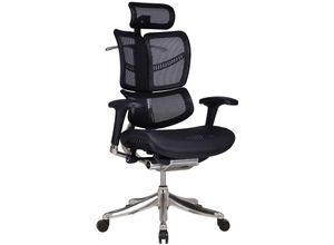 4251756451134 - Bürostuhl Norfolk Ergonomic I Ergonomischer Schreibtischstuhl I Kopfstütze