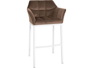 4251756488376 - - Barhocker Damaso Samt-Bezug mit Vierfußgestell braun weiß 4251756488376 - - Barhocker Damaso Samt-Bezug mit Vierfußgestell braun weiß