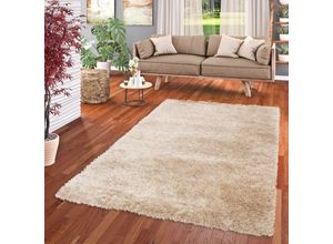 4251765620118 - - Hochflor Langflor Shaggy Teppich Glow Beige mit Schimmer Effekt - 120x170 cm