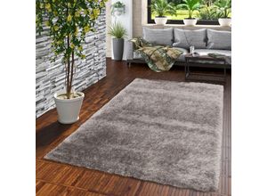 4251765620200 - Hochflor Langflor Shaggy Teppich Glow Grau mit Schimmer Effekt - 80x150 cm