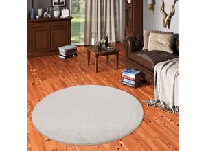 4251765627612 - Hochflor Luxus Velours Teppich Touch Silber Rund - 200 cm Rund