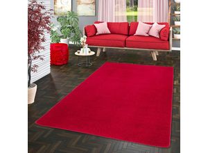 4251765646293 - - Trend Velours Teppich Joy Rot - 80x200 cm