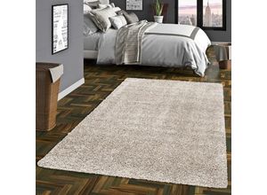 4251765651662 - - Hochflor Langflor Shaggy Teppich Comfy Mix Silber - 120x170 cm