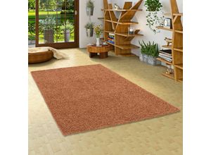 4251765652393 - - Hochflor Langflor Shaggy Teppich Fluffy Terrakotta - 140x200 cm