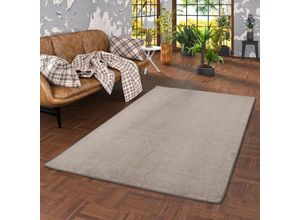 4251765677747 - - Trend Velours Teppich Joy Taupe - 80x160 cm