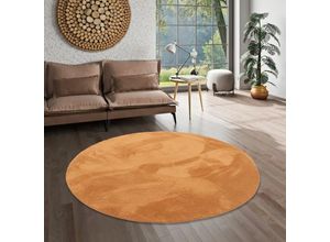 4251765694676 - - Luxus Super Soft Fellteppich Pearl Terrakotta Rund - 120 cm Rund