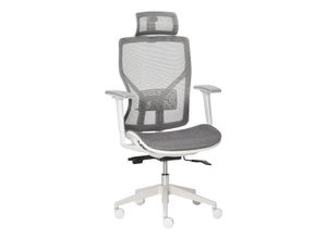 4251774912815 - Bürostuhl ergonomisch geformt high-end gaslift Grau 67 x 65 x 120-128 cm (BxTxH) Schreibtischstuhl Gamingstuhl Computerarbeitsstuhl Computerstuhl