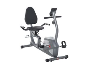 4251774919074 - Liegeergometer mit LCD-Anzeige und 8 Stufen grau 136L x 625B x 38 H cm Heimtrainer Fahrradtrainer Magnetwiderstand Liegeergometer Fitness