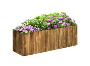 4251774955935 - Hochbeet Pflanzkasten Kräuterbeet Pflanzbeet Gemüse Blumenbeet Blumenkasten Tannenholz 120 x 40 x 40