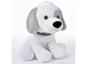 4251777201558 - Spielwerk® Kuscheltier Hund - 58cm