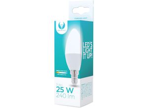 4251810810037 - Forever - 3 Stück ] Light led E14 3W ersetzt 25W Glühibrne Leuchtmittel C37 3000K Warmweiß 240 Lumen Kerzenform Energiesparlampe