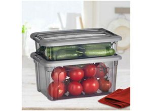 4251810864160 - Frischhaltedose Organizer Behälter Vorratsbehälter Vorratsdosen Grau-Transparent 28L - Vip Ahmet