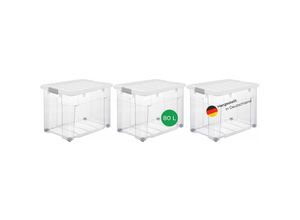 4251888511874 - Novaliv - 3x Aufbewahrungsbox 3x Aufbewahrungsbox 3x Deckel 12x Rollen - Transparent