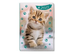 4251901506924 - Taschenkalender A7 Katze 2025