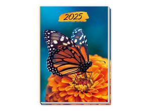 4251901506948 - Taschenkalender A7 Schmetterling 2025