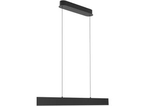 4251911765625 - LED-Hängeleuchte Philine 101 cm schwarz Eisen - sandSchwarz - Lucande