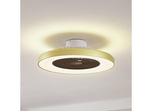 4251911780154 - Lindby - Deckenventilator mit Lampe Teleo dimmbar mit Fernbedienung für Wohnzimmer & Esszimmer von