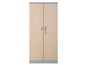 4251975405024 - Proregal-betriebsausstattung Für Profis - proregal Aktenschrank Beetle HxBxT 195x92x42cm Grau-Ahorn - Silber