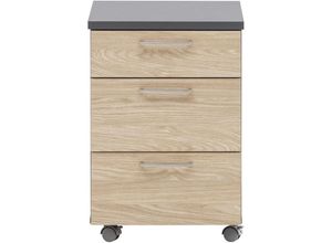 4251975417973 - Möbelpartner - Rollcontainer Hippo HxBxT 60x40x50cm (Höhe mit Rollen) 3 Schubladen Eiche - Eiche