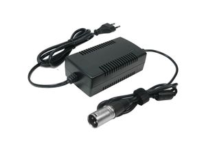 4252006141607 - Netzteil Ladegerät Ladekabel 294V 2A für 24V Akkus mit 185mm 3pin xlr Stecker ersetzt HP1202L2 für e-Bike Akkus von City-Star Aldi - Trade-shop