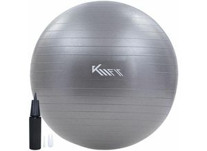 4252023115544 - Gymnastikball 55 cm Trainingsball mit Luft-Pumpe Sitzball Büro Anti-Burst Ball für Fitness Yoga Gymnastik Core Training Pezziball Yogaball