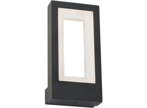 4255596670144 - Licht-erlebnisse - led Außenleuchte Wand Aluminium IP44 neutralweißes Licht 4000 k 522 lm h 20 cm Anthrazit Weiß