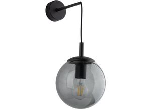 4255596701176 - Licht-erlebnisse - Wandlampe Metall Rauchglas 45 cm hoch Schwarz Graphit E27 Kugel Schirm Modern