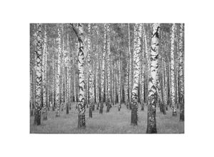 4255603546554 - Leinwandbild Bäume Blätter 50 x 70 cm - Wandbild Weiß Schwarz - Keilrahmen Laubwald Wohnzimmerdeko Wanddeko Wandgemälde