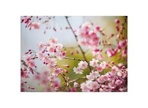 4255603546752 - Leinwandbild Blumen Floral 50 x 70 cm - Wandbild Rosa - Keilrahmen Natur Blüten Wohnzimmerdeko Wanddeko Wandgemälde