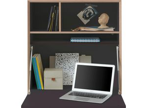 4255623604265 - Regalelement MÜLLER SMALL LIVING VERTIKO PLY FIVE HOME OFFICE Regale Gr B H T 74 cm x 74 cm x 35 cm 3 St grau (anthrazit) Büroregal Hängeregal Hängeregale Regale Ausgezeichnet mit dem German Design Award 2021